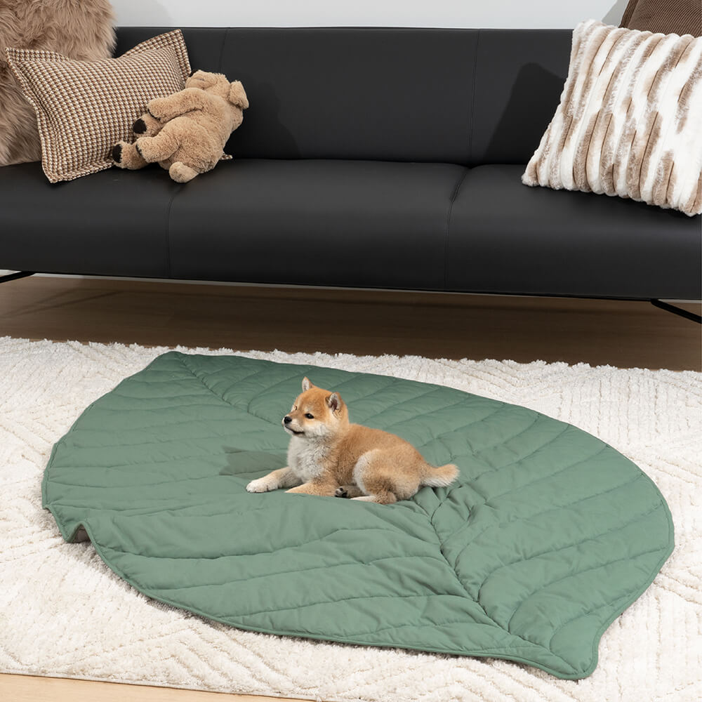 Couverture pour chien en forme de très grande feuille, tapis humain