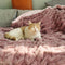Couverture humaine de luxe en fausse fourrure et velours pour animaux de compagnie, super douce