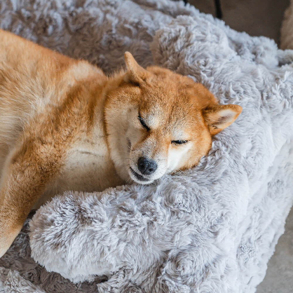 Cama para perros calmante con forma de nube de hueso esponjoso y cálido