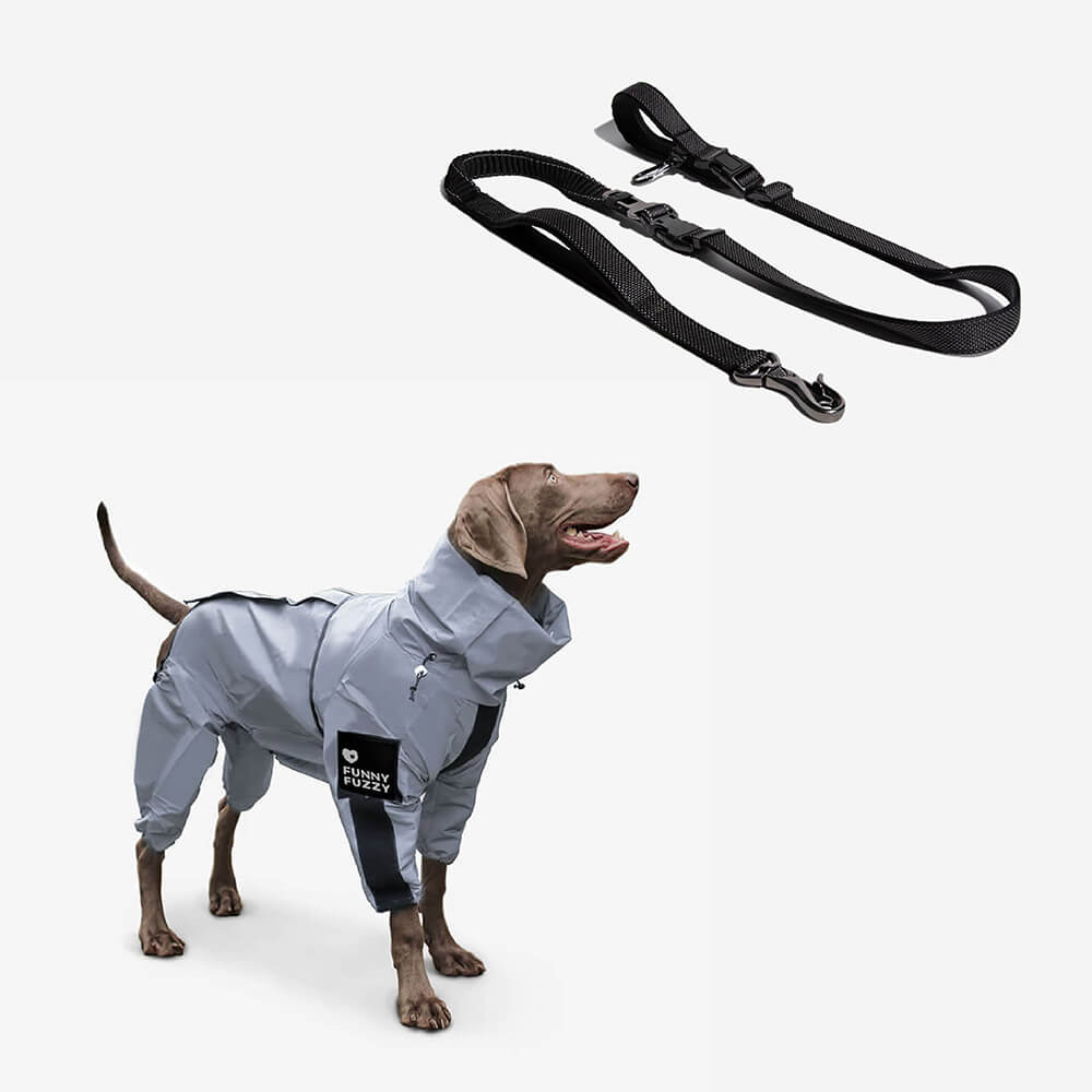 Manteau de pluie réfléchissant imperméable à l'eau pour tous les temps, accessoires pour chiens frais