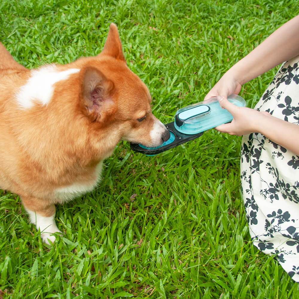 Tragbare Wasserflasche für Hunde – Ozeanarium
