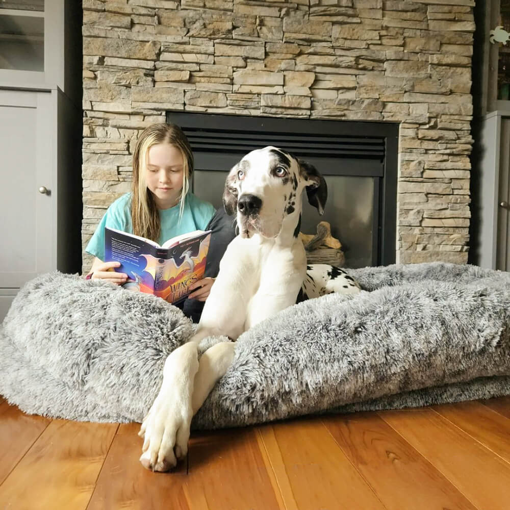 Lit orthopédique pour chien Donut