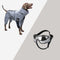 Manteau de pluie réfléchissant imperméable et imperméable pour tous les temps, accessoires pour chiens